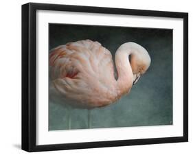 Pink Flamingo 2-Jai Johnson-Framed Giclee Print