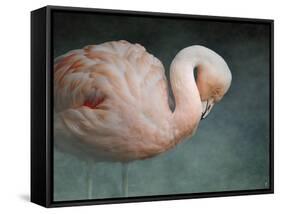 Pink Flamingo 2-Jai Johnson-Framed Stretched Canvas