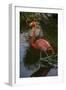 Pink Flamingo, Bavaro, Higuey, Punta Cana, Dominican Republic-Lisa S. Engelbrecht-Framed Photographic Print