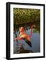 Pink Flamingo, Bavaro, Higuey, Punta Cana, Dominican Republic-Lisa S. Engelbrecht-Framed Photographic Print