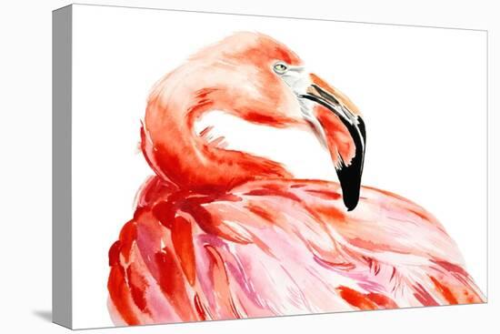 Pink Flamingo Bird Profile Portrait, Amazing Beautiful Animal, Art Print, Watercolor Wildlife Drawi-Antonova Katya-Stretched Canvas