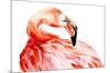 Pink Flamingo Bird Profile Portrait, Amazing Beautiful Animal, Art Print, Watercolor Wildlife Drawi-Antonova Katya-Mounted Premium Giclee Print