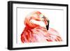 Pink Flamingo Bird Profile Portrait, Amazing Beautiful Animal, Art Print, Watercolor Wildlife Drawi-Antonova Katya-Framed Art Print