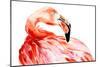 Pink Flamingo Bird Profile Portrait, Amazing Beautiful Animal, Art Print, Watercolor Wildlife Drawi-Antonova Katya-Mounted Art Print