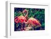 Pink Flamingo Close-Up in Singapore Zoo-Volodymyr Goinyk-Framed Photographic Print