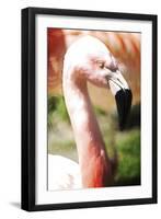Pink Flamingo I-Tina Lavoie-Framed Giclee Print