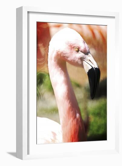 Pink Flamingo I-Tina Lavoie-Framed Giclee Print