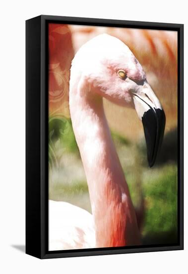 Pink Flamingo I-Tina Lavoie-Framed Stretched Canvas