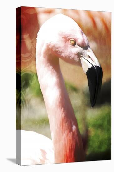 Pink Flamingo I-Tina Lavoie-Stretched Canvas
