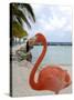 Pink Flamingo on Renaissance Island, Aruba, Caribbean-Lisa S. Engelbrecht-Stretched Canvas