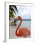 Pink Flamingo on Renaissance Island, Aruba, Caribbean-Lisa S. Engelbrecht-Framed Premium Photographic Print