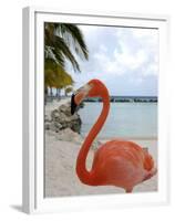 Pink Flamingo on Renaissance Island, Aruba, Caribbean-Lisa S. Engelbrecht-Framed Premium Photographic Print