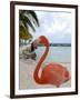 Pink Flamingo on Renaissance Island, Aruba, Caribbean-Lisa S. Engelbrecht-Framed Premium Photographic Print