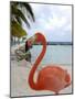 Pink Flamingo on Renaissance Island, Aruba, Caribbean-Lisa S. Engelbrecht-Mounted Photographic Print