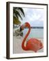 Pink Flamingo on Renaissance Island, Aruba, Caribbean-Lisa S. Engelbrecht-Framed Photographic Print