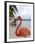 Pink Flamingo on Renaissance Island, Aruba, Caribbean-Lisa S. Engelbrecht-Framed Photographic Print