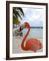 Pink Flamingo on Renaissance Island, Aruba, Caribbean-Lisa S. Engelbrecht-Framed Photographic Print