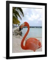 Pink Flamingo on Renaissance Island, Aruba, Caribbean-Lisa S. Engelbrecht-Framed Photographic Print