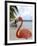 Pink Flamingo on Renaissance Island, Aruba, Caribbean-Lisa S. Engelbrecht-Framed Photographic Print