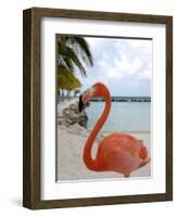 Pink Flamingo on Renaissance Island, Aruba, Caribbean-Lisa S. Engelbrecht-Framed Photographic Print