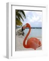 Pink Flamingo on Renaissance Island, Aruba, Caribbean-Lisa S. Engelbrecht-Framed Photographic Print