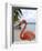 Pink Flamingo on Renaissance Island, Aruba, Caribbean-Lisa S. Engelbrecht-Framed Photographic Print