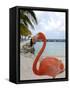 Pink Flamingo on Renaissance Island, Aruba, Caribbean-Lisa S. Engelbrecht-Framed Stretched Canvas