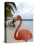 Pink Flamingo on Renaissance Island, Aruba, Caribbean-Lisa S. Engelbrecht-Stretched Canvas