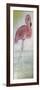 Pink Flamingo Tall-Karen Williams-Framed Giclee Print