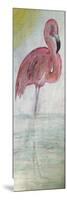 Pink Flamingo Tall-Karen Williams-Mounted Giclee Print