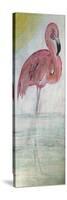 Pink Flamingo Tall-Karen Williams-Stretched Canvas