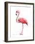 Pink Flamingo-Suren Nersisyan-Framed Art Print