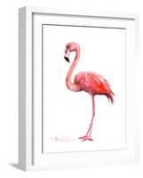 Pink Flamingo-Suren Nersisyan-Framed Art Print