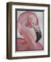 Pink Flamingo-Karen Williams-Framed Giclee Print