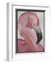 Pink Flamingo-Karen Williams-Framed Giclee Print