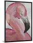 Pink Flamingo-Karen Williams-Mounted Giclee Print