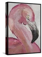 Pink Flamingo-Karen Williams-Stretched Canvas