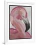 Pink Flamingo-Karen Williams-Framed Giclee Print