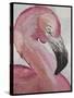 Pink Flamingo-Karen Williams-Stretched Canvas