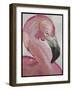 Pink Flamingo-Karen Williams-Framed Giclee Print