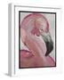 Pink Flamingo-Karen Williams-Framed Giclee Print