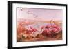 Pink Flamingoes-Syde-Framed Giclee Print