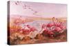 Pink Flamingoes-Syde-Stretched Canvas
