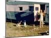 Pink Flamingos, Divine, 1972-null-Mounted Photo