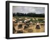 Pink Flamingos Gathering by their Nests-null-Framed Photographic Print