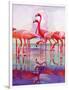 "Pink Flamingos,"January 29, 1938-Francis Lee Jaques-Framed Giclee Print