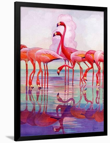 "Pink Flamingos,"January 29, 1938-Francis Lee Jaques-Framed Giclee Print