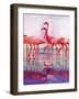 "Pink Flamingos,"January 29, 1938-Francis Lee Jaques-Framed Premium Giclee Print