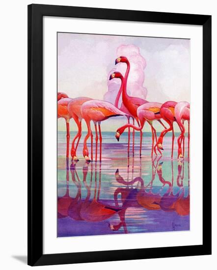 "Pink Flamingos,"January 29, 1938-Francis Lee Jaques-Framed Giclee Print