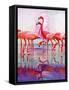 "Pink Flamingos,"January 29, 1938-Francis Lee Jaques-Framed Stretched Canvas